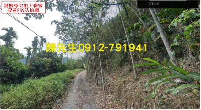 新社法拍新社農地新社土地