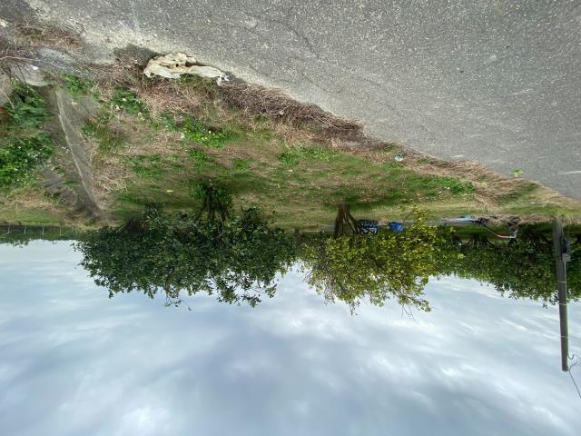 麻豆農地-2