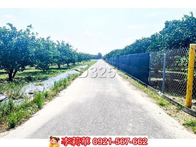 麻豆農地-3