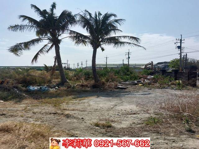 安南農地-13