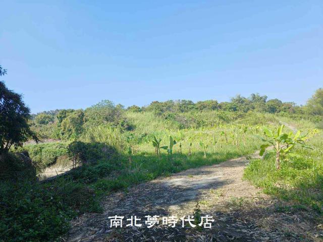 玉井農地-14