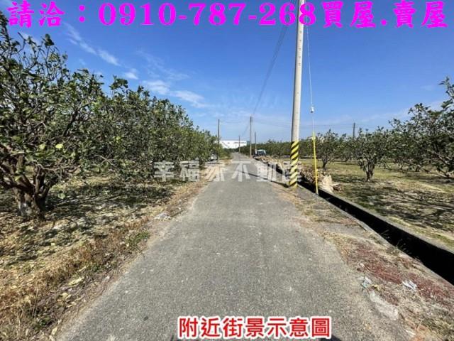 麻豆農地-5