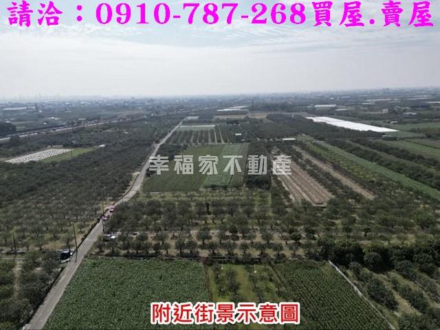 麻豆農地-7