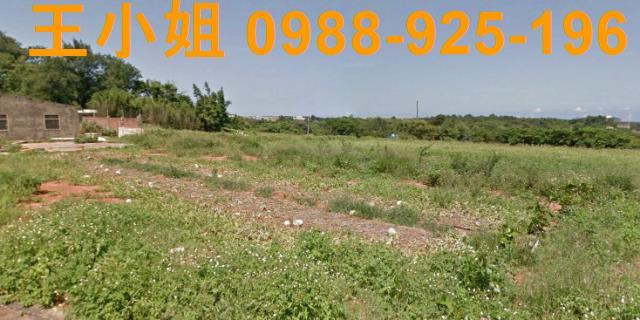 大園農地-2