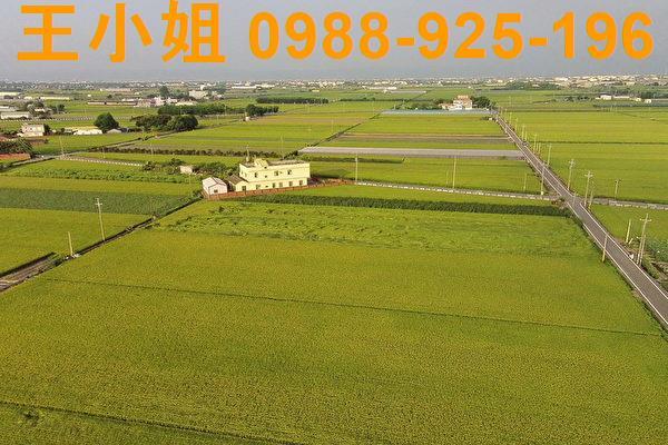 大園農地-3