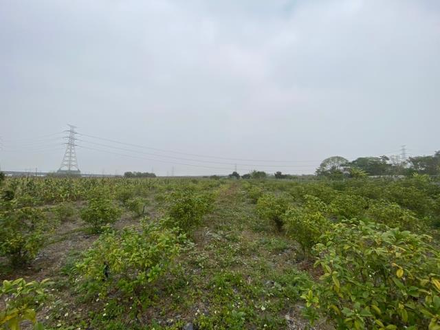 台南農地-14