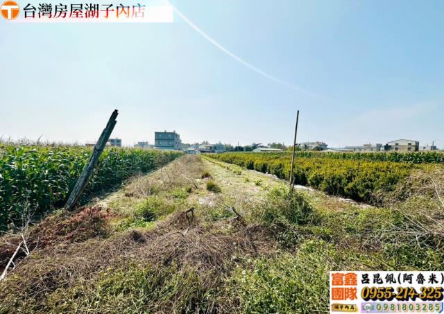 嘉義農地-1