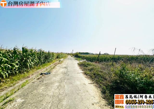 嘉義農地-3
