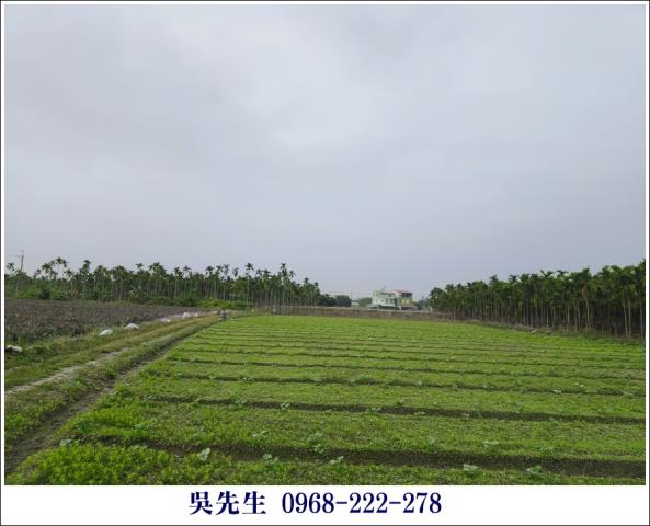 屏東高樹農地-3