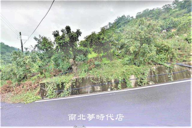 台南楠西山坡地-14