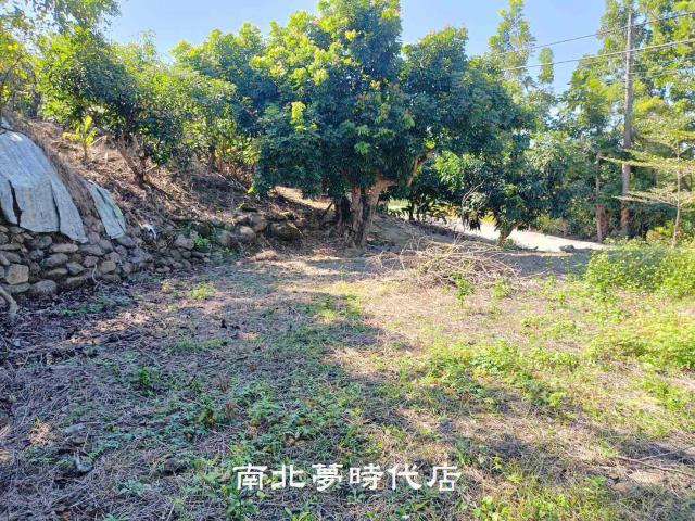台南楠西山坡地-5
