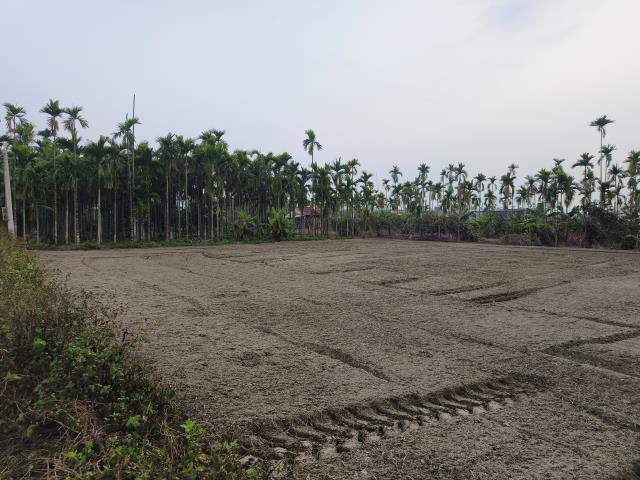 屏東麟洛都計農地-5