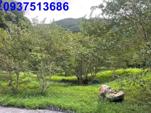 宜蘭員山山莊-13