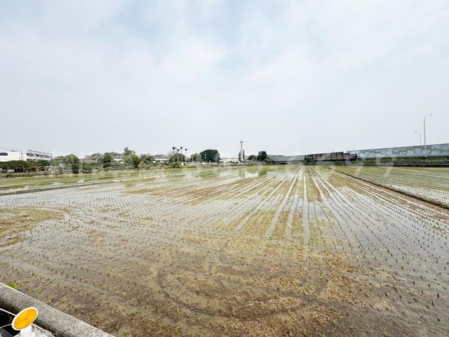 後壁農地-1