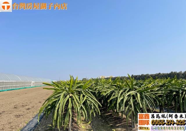 嘉義太保農地-1
