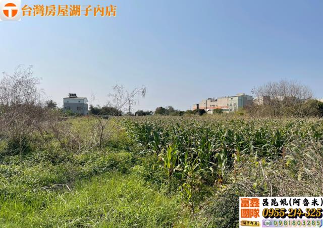 嘉義太保農地-2