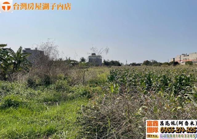 嘉義太保農地-3