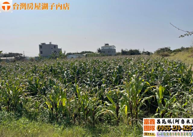 嘉義太保農地-5