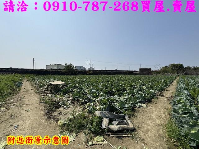 新市農地-10