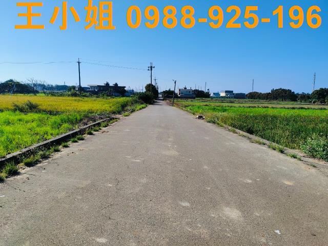 新屋農地-1