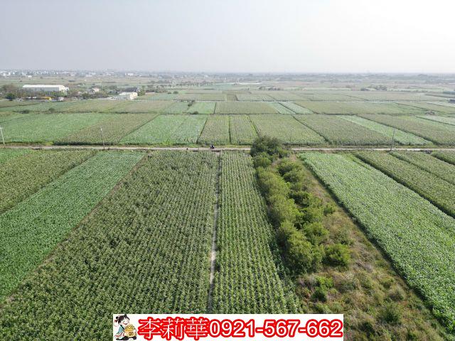 佳里農地-9