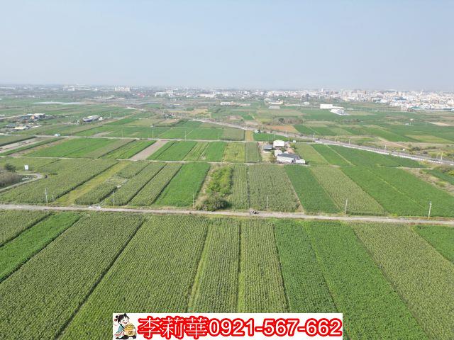 佳里農地-10