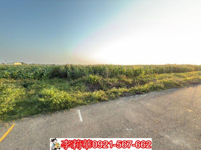 佳里農地-1