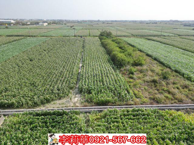 佳里農地-4