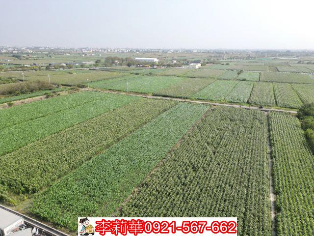 佳里農地-5