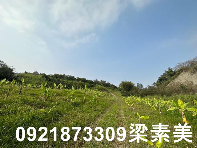 玉井農地-12