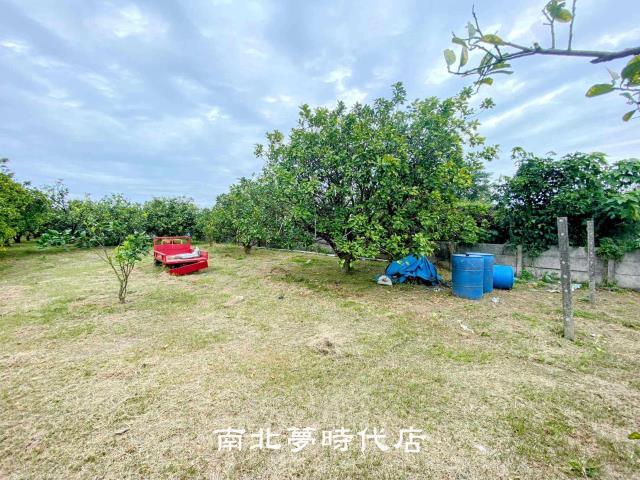 麻豆農地-4