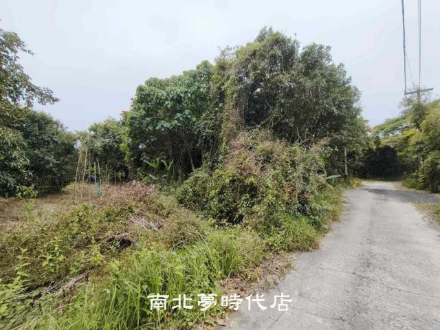 新化農地-3