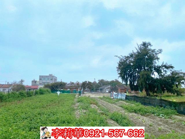 台南農地-11