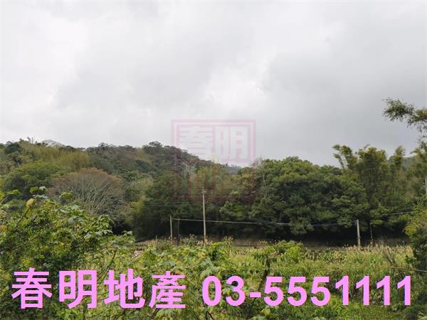 新竹新埔建地-1