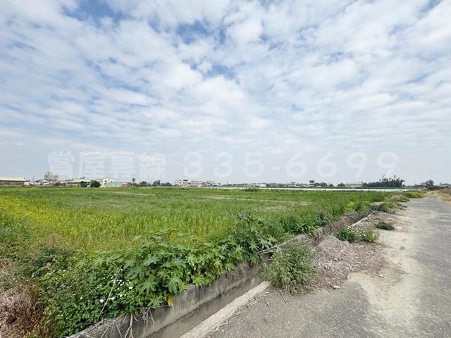 學甲農地-13