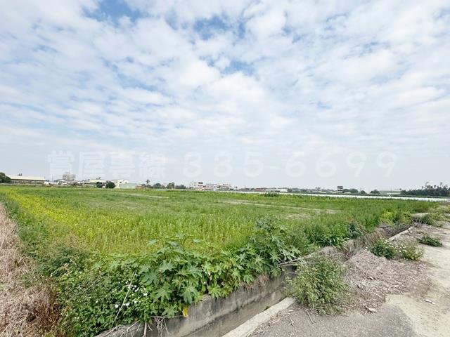 學甲農地-14