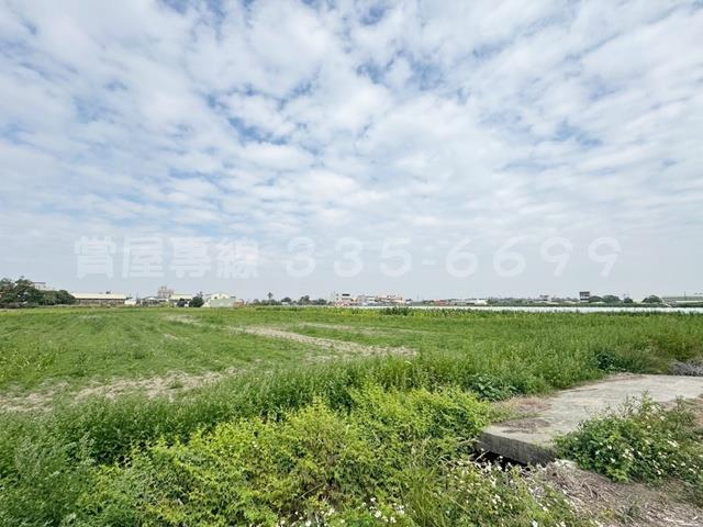 學甲農地-3