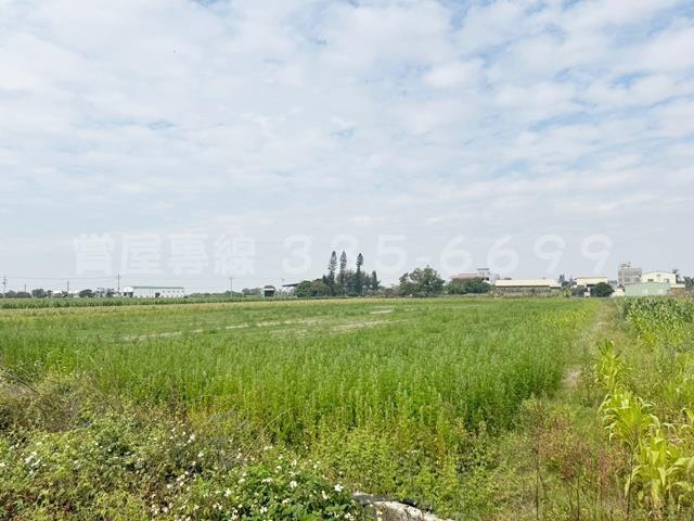 學甲農地-5