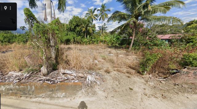 大埔法拍大埔建地大埔土地