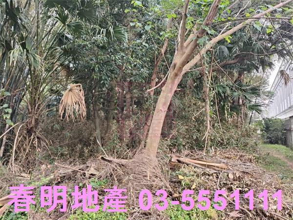 新竹農地-4
