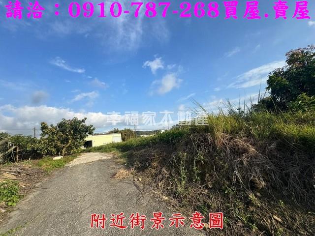 台南農地-12