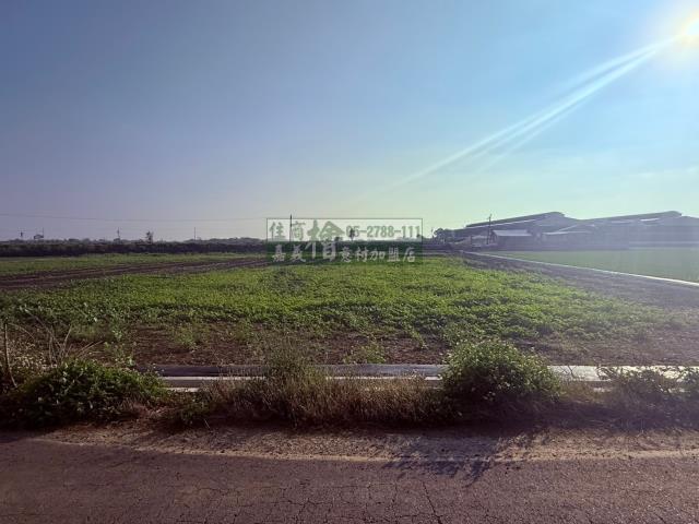 嘉義農地-5