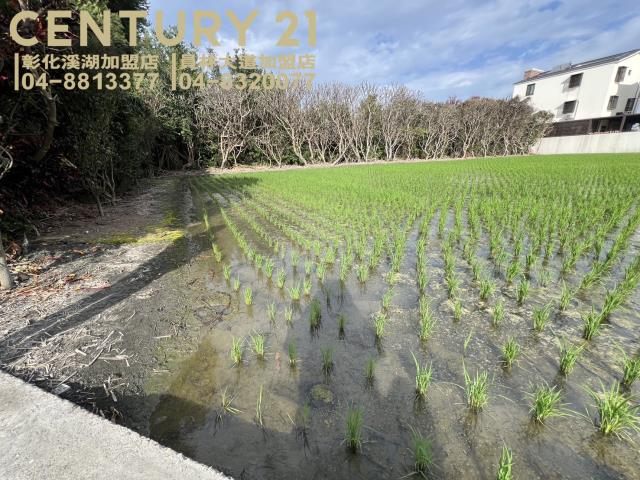 溪州建地-0