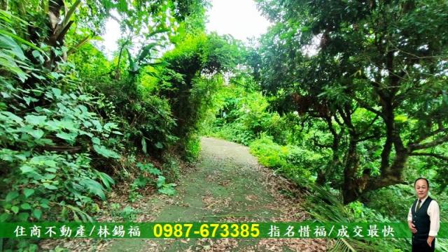 台南農地-2