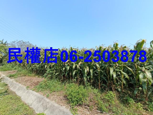台南新營農地-10