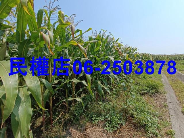 台南新營農地-12