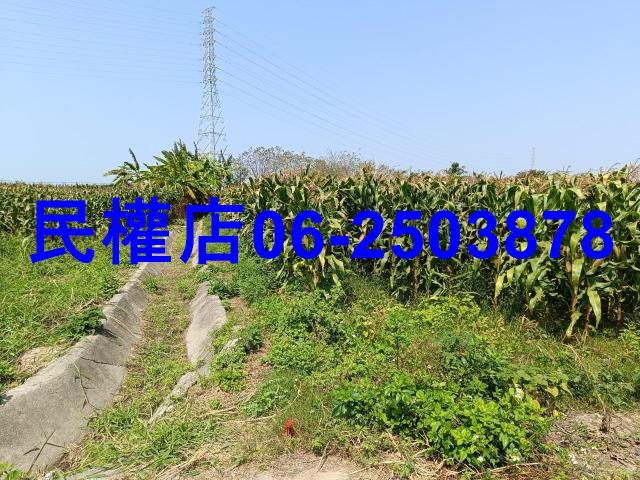 台南新營農地-1