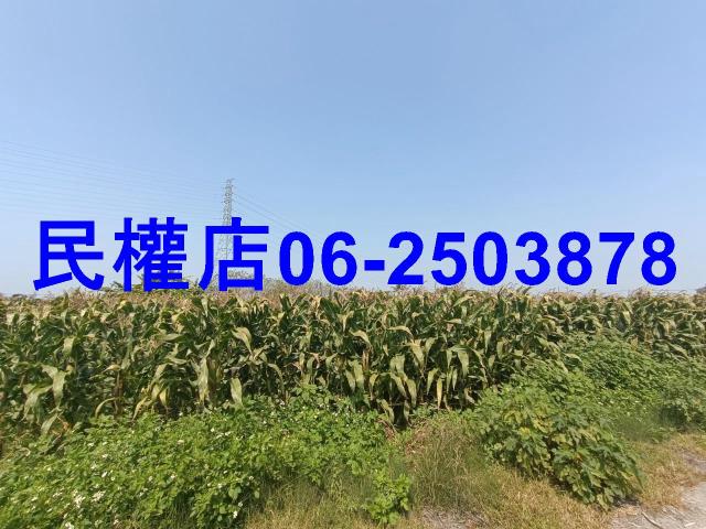 台南新營農地-4