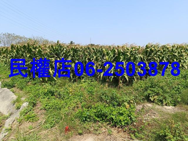 台南新營農地-5