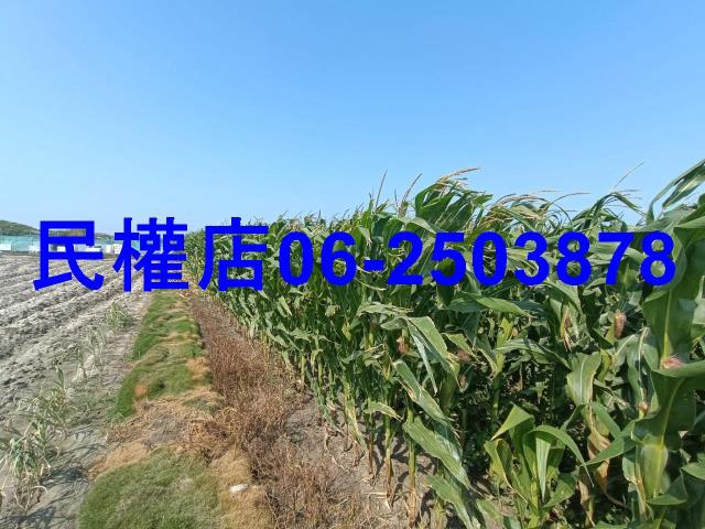台南學甲農地-2